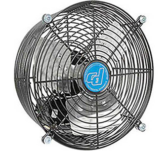 246509 Image.