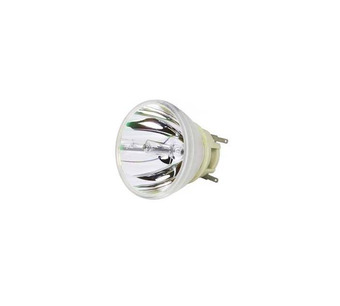 WW-SEGG-0 Image.