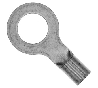 323087 Image.