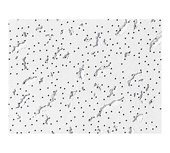 560## Image.