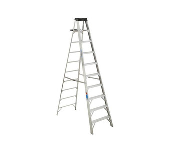 954406 Image.