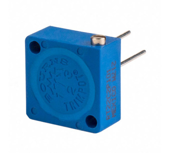 RT22C2P101 Image.