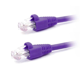 CAT5E-PURPLE-3FT Image.
