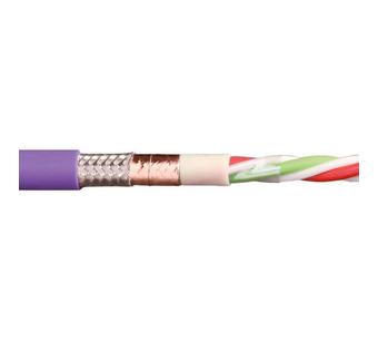 CFBUS-065 Image.