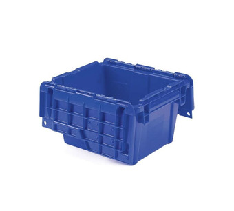 FP03 Blue Image.