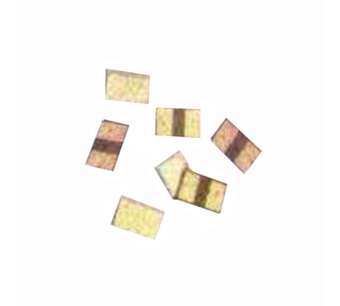 AEQ2234 Image.
