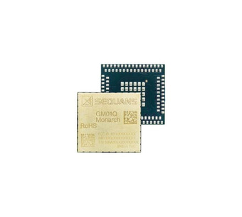 GM01Q Image.