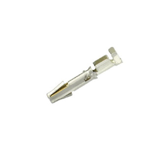 SC24M1S31 Image.