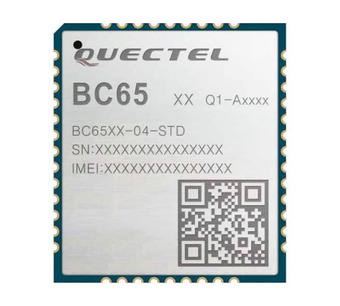 BC65PB-04-STD Image.