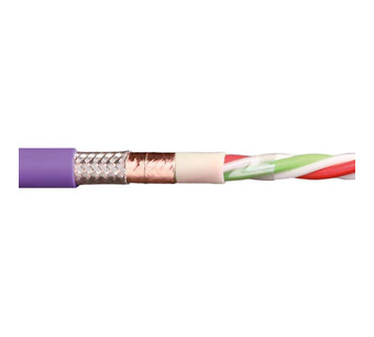 CFBUS-031 Image.