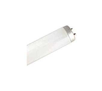 WW-REVV-4 Image.