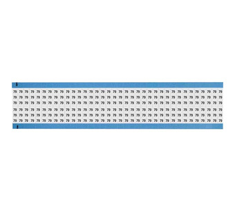 WM-79-SC-PK Image.