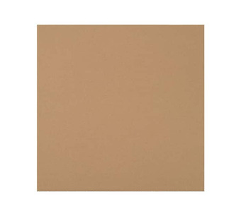 BSSP23 Image.