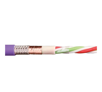 CFBUS-010 Image.