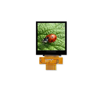 ST0154G3W-RSLW-C Image.