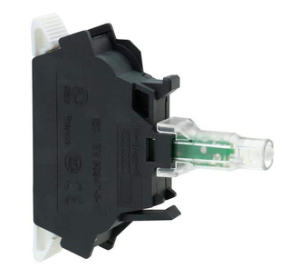ZBVB15 Image.