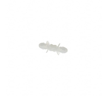 CBDLS510A Image.