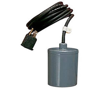 599117 Image.