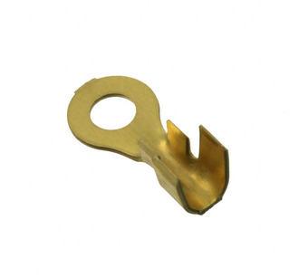 41558 Image.