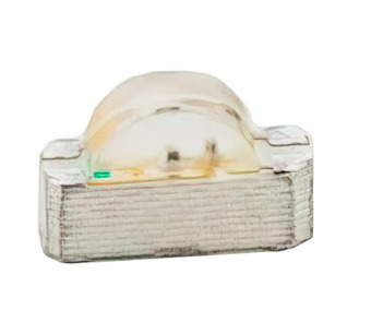 SB1204WC03-RG Image.