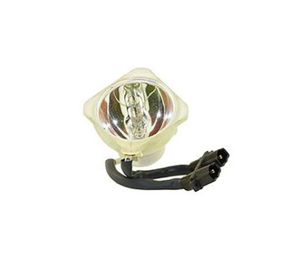 WW-EWBB-3 Image.