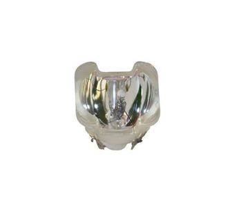 WW-ELVY-2 Image.