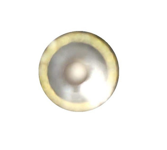 TC058S043YN16 Image.
