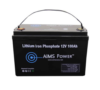 LFP12V100AB Image.