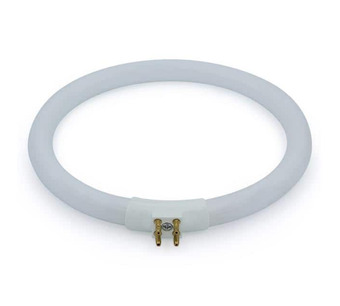 WW-R215-0 Image.
