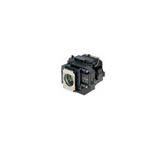 WW-SEYR-6 Image.