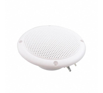 FR 10 WP - 4 OHM (WHITE) Image.
