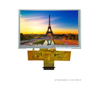 AFY800480B0-5.0N12NTM-R Image.