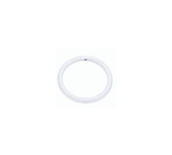 WW-LL15-2 Image.