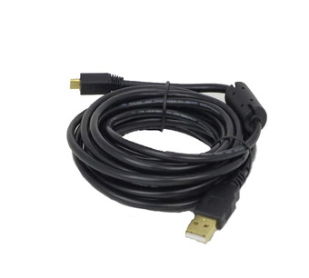ECU19 Image.