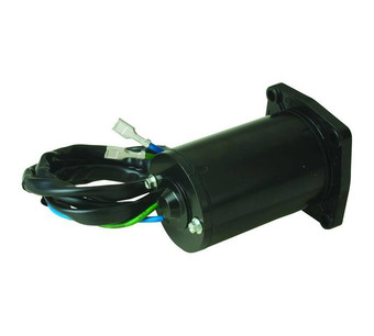 PT302NM MOTOR Image.