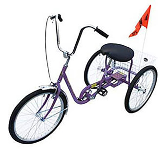 IBIKE-3-DC-P Image.