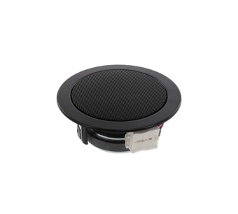 DL 8 - 8 OHM (RAL 9005) Image.