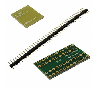 DIP300T600P24 Image.