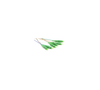 PIG-003-J-B-09-S-Q Image.