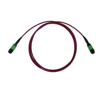 C50G-8162-0.5M Image.