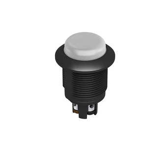 S18LGRYPT Image.