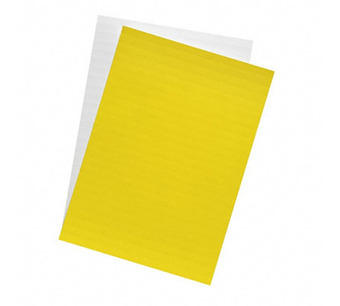 1764050000 Image.