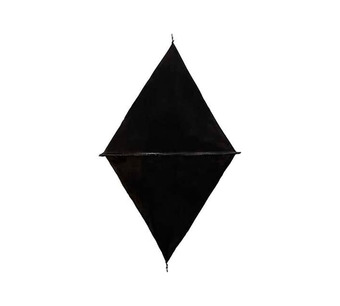 DX0012M Image.