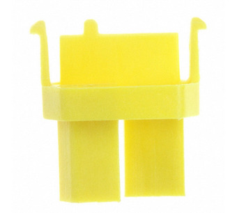 828071000101003 Image.