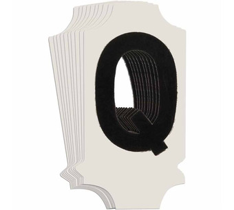 5010-Q Image.