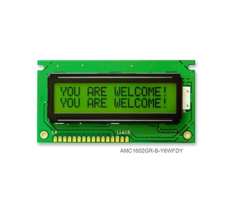 AMC1602GR-B-Y6WFDY Image.