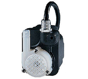 518020 Image.