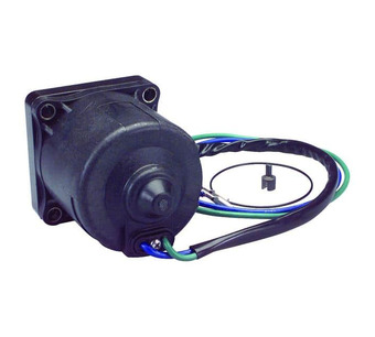 PT303NM MOTOR Image.
