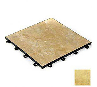 B850456 Image.