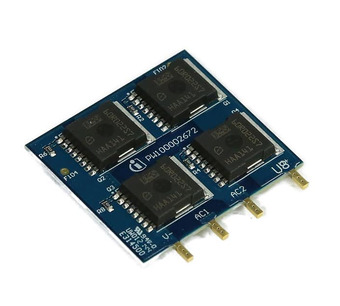 KITACTBRDS74PINTOBO1 Image.